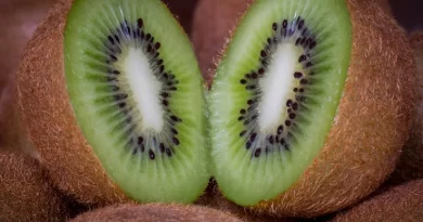 benefici-dei-kiwi (1)