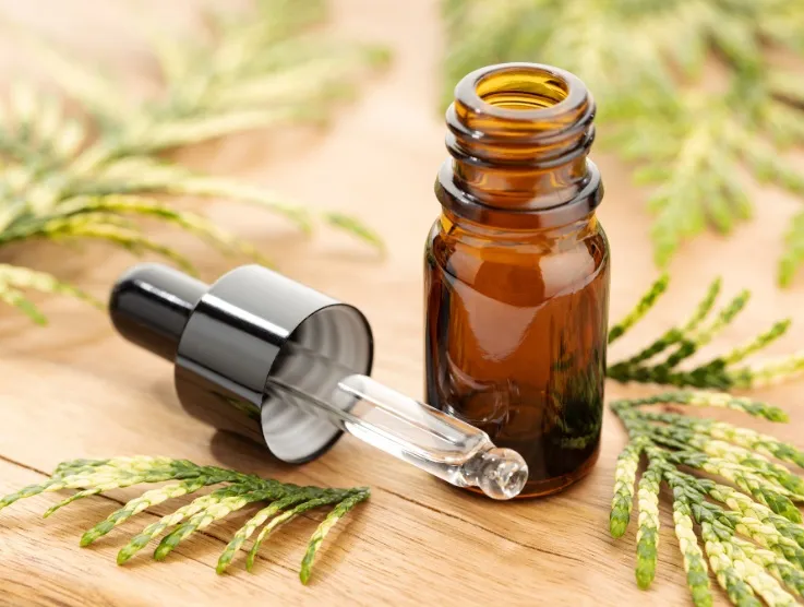 Olio Essenziale di Cipresso