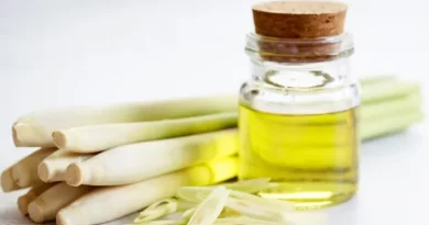 olio-essenziale-di-citronella