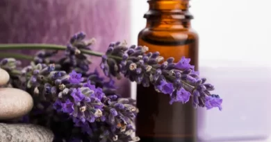 olio-essenziale-di-lavanda