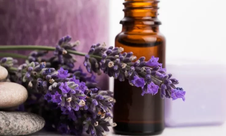 olio-essenziale-di-lavanda