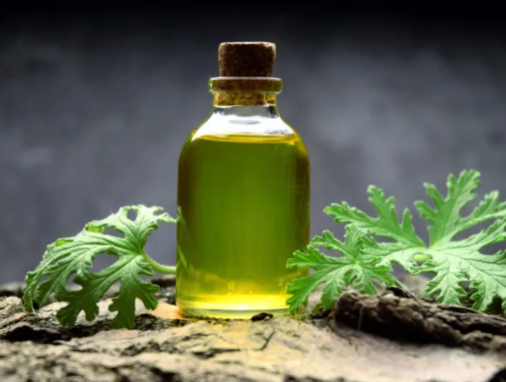Olio Essenziale di Lemongrass