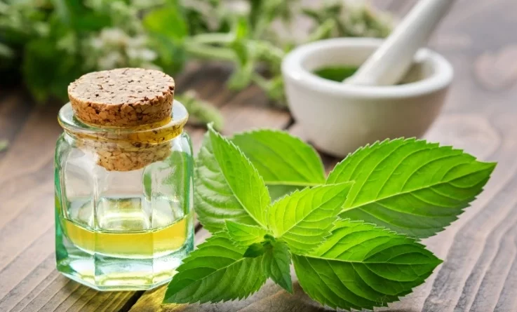 olio-essenziale-di-menta
