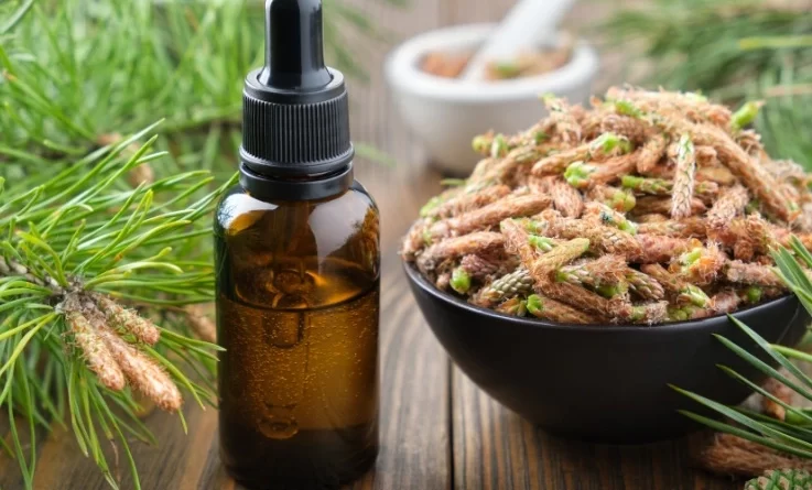 olio-essenziale-di-pino