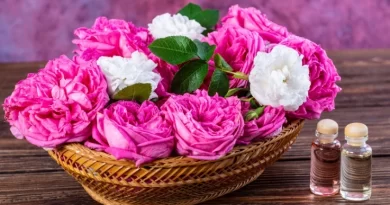 olio-essenziale-di-rosa-damascena